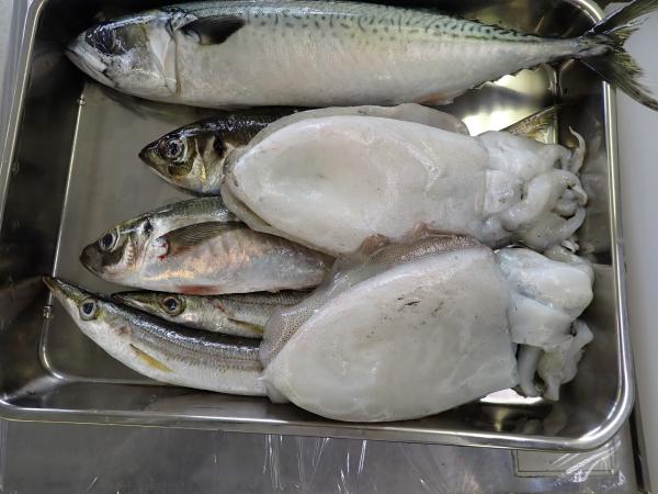 第53回さかな屋大将のお魚さばき方教室