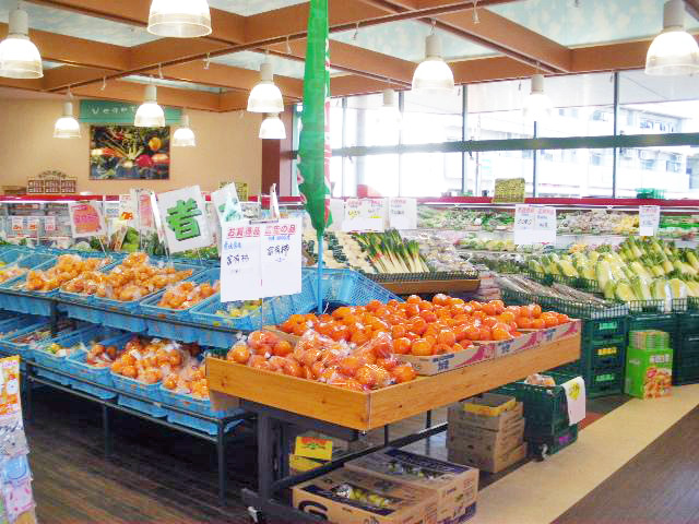 松山生協　岡田店