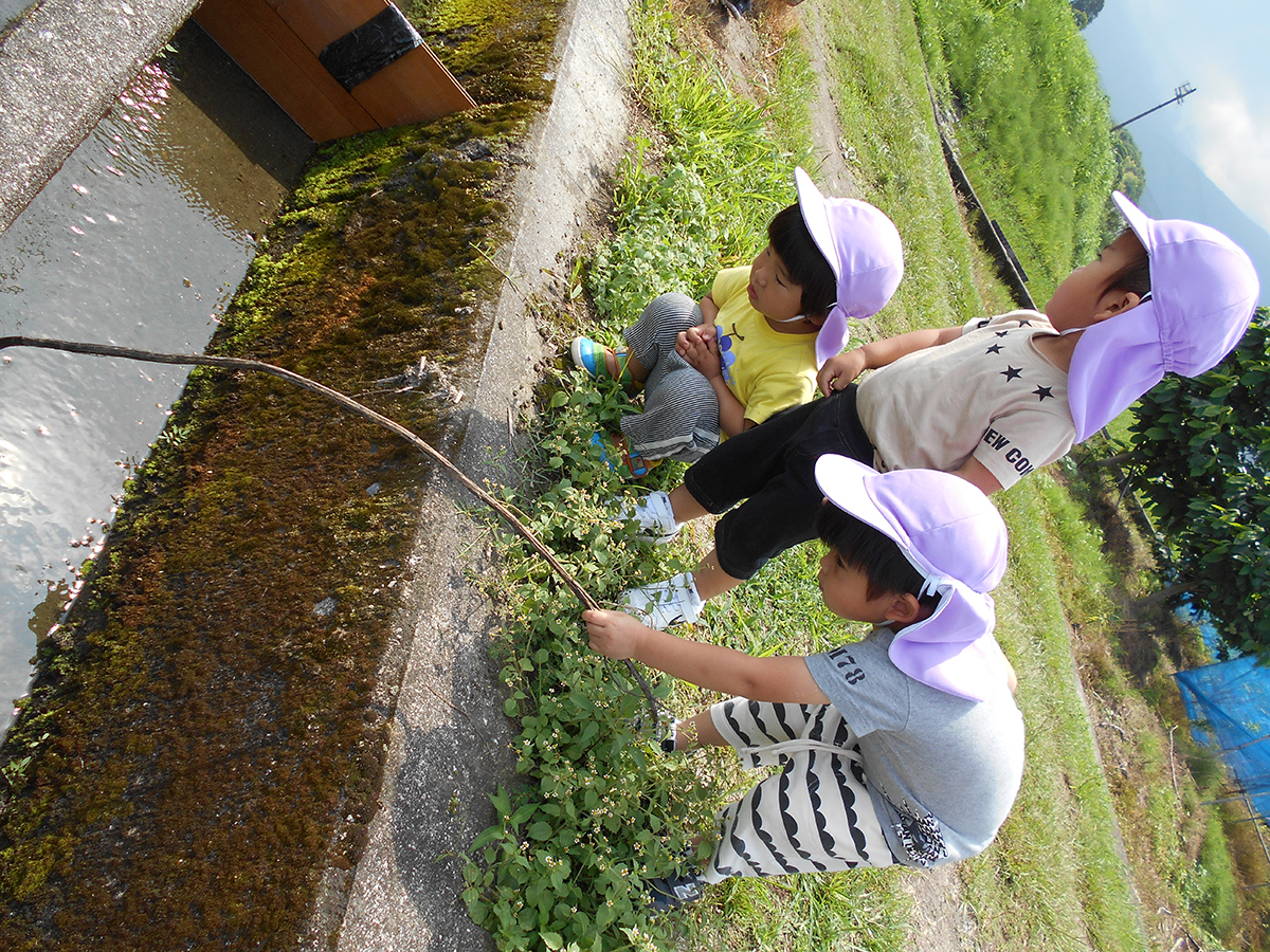 私立 みのり保育園