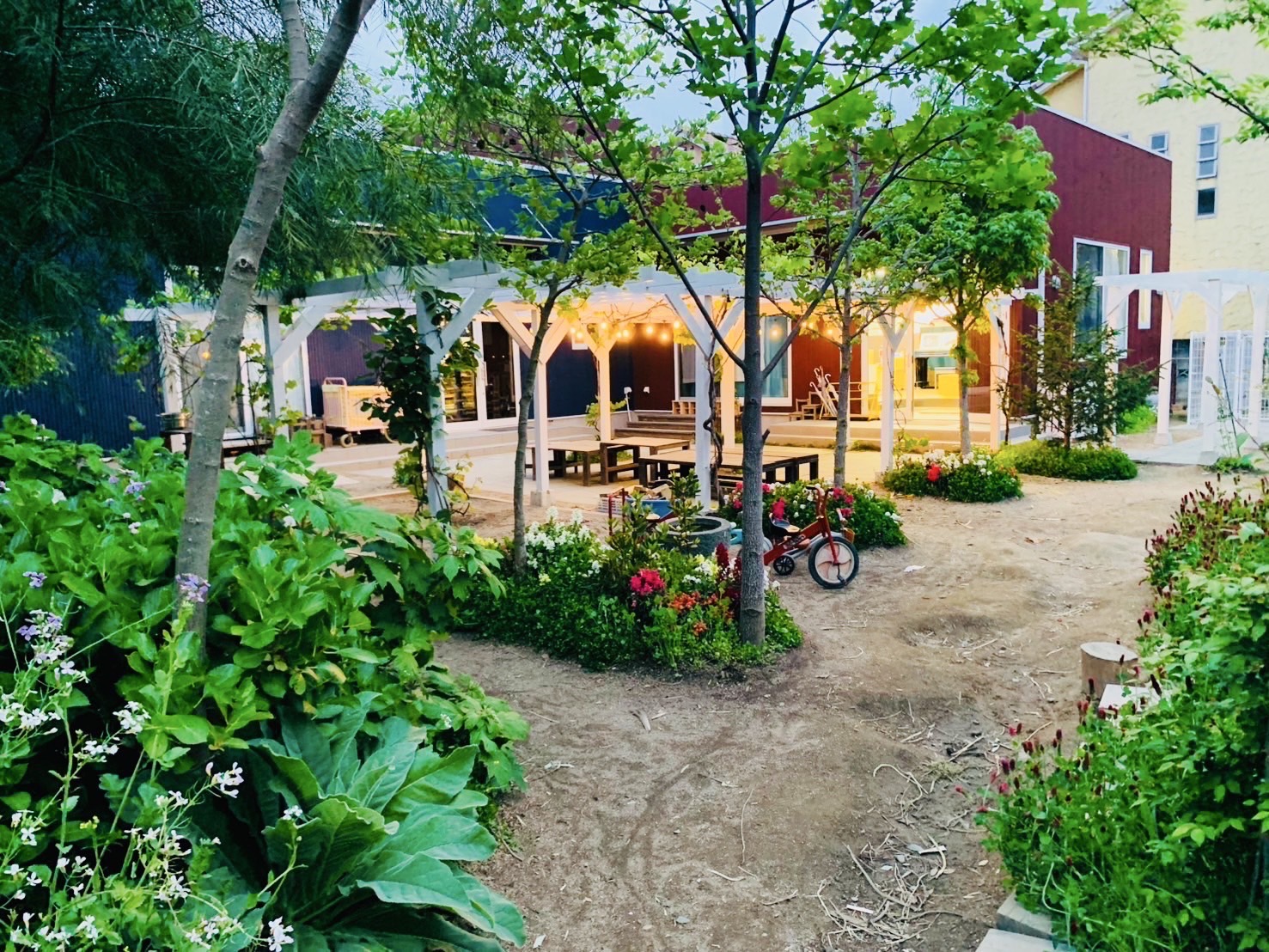 むぎの穂保育園