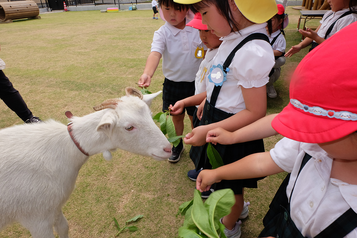 私立 西条聖マリア幼稚園