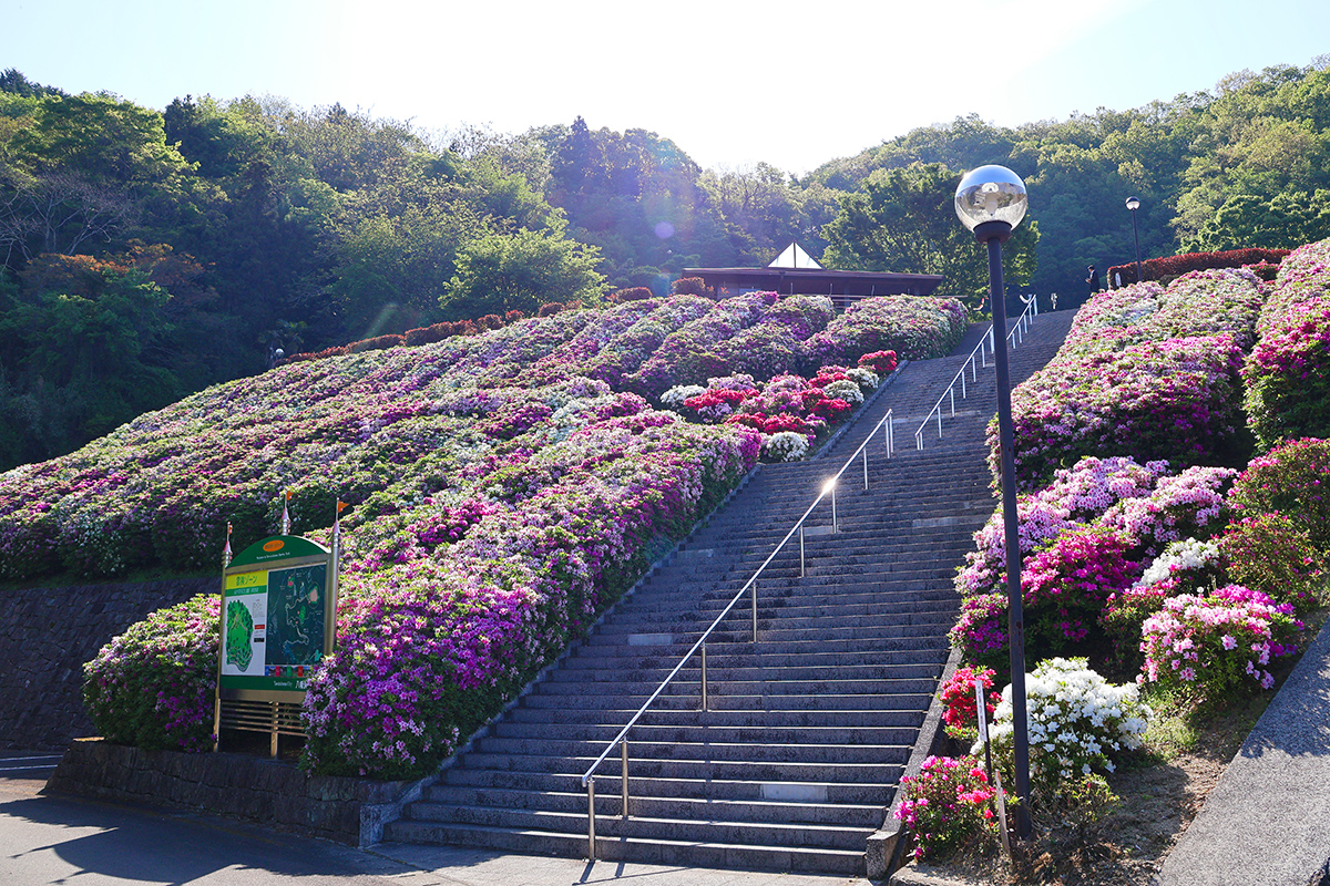 市民スポーツパーク