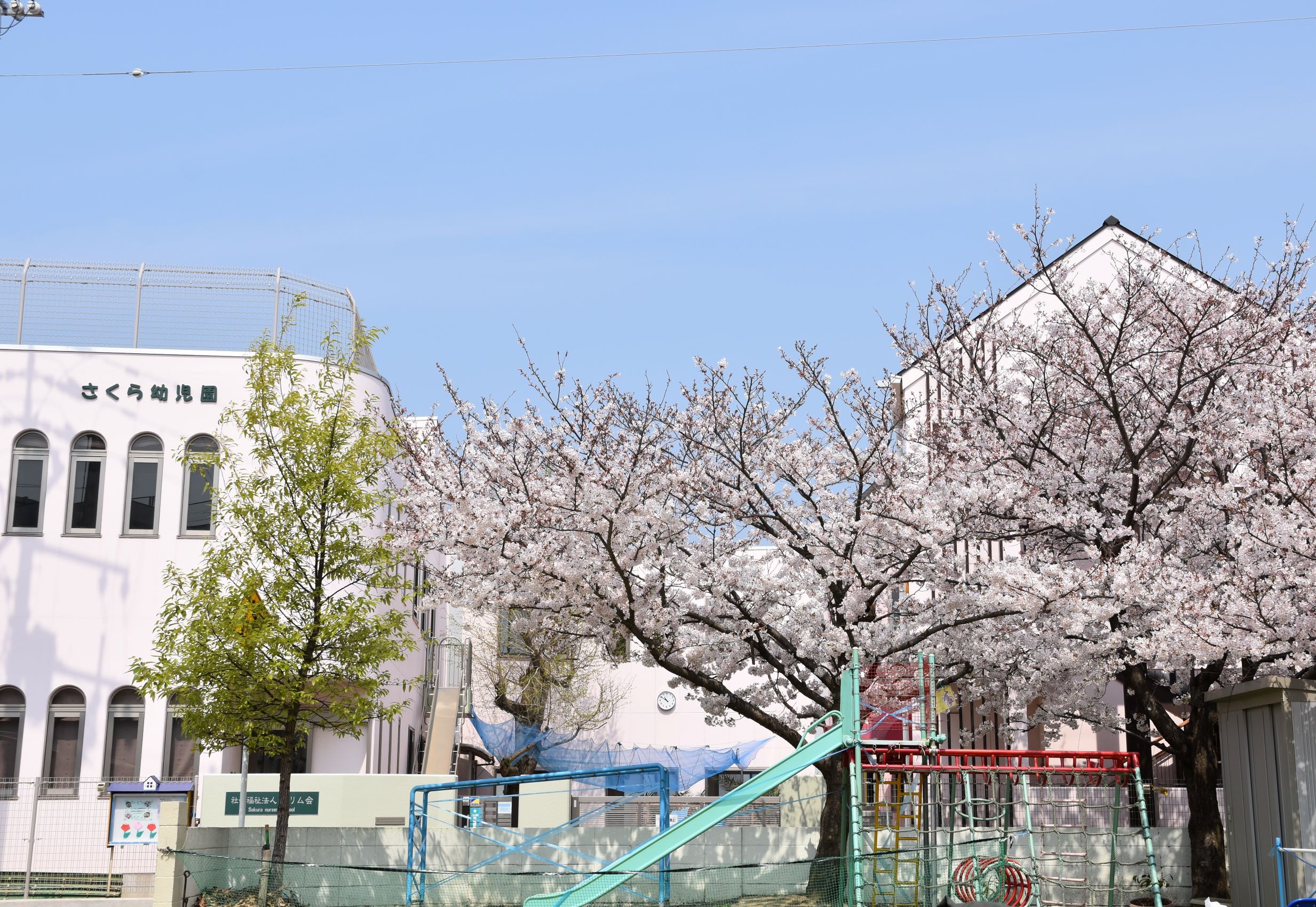 私立　さくら幼児園
