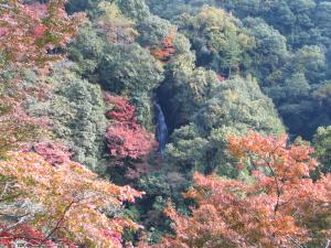 白滝もみじフェスティバル