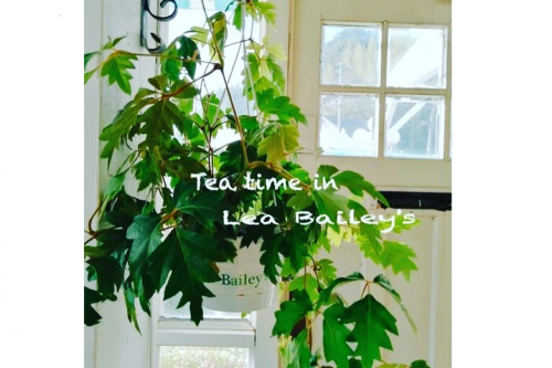 リー・ベイリーズde愛イベント Vol.25 ～美しい瀬戸内の海辺　新たな出会いをリー・ベイリーズで～