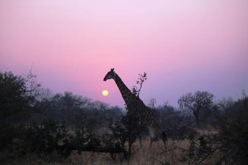 恋たび 東温～久万高原～砥部編「スペインランチ・りんご狩り・夜の動物園を巡る旅」