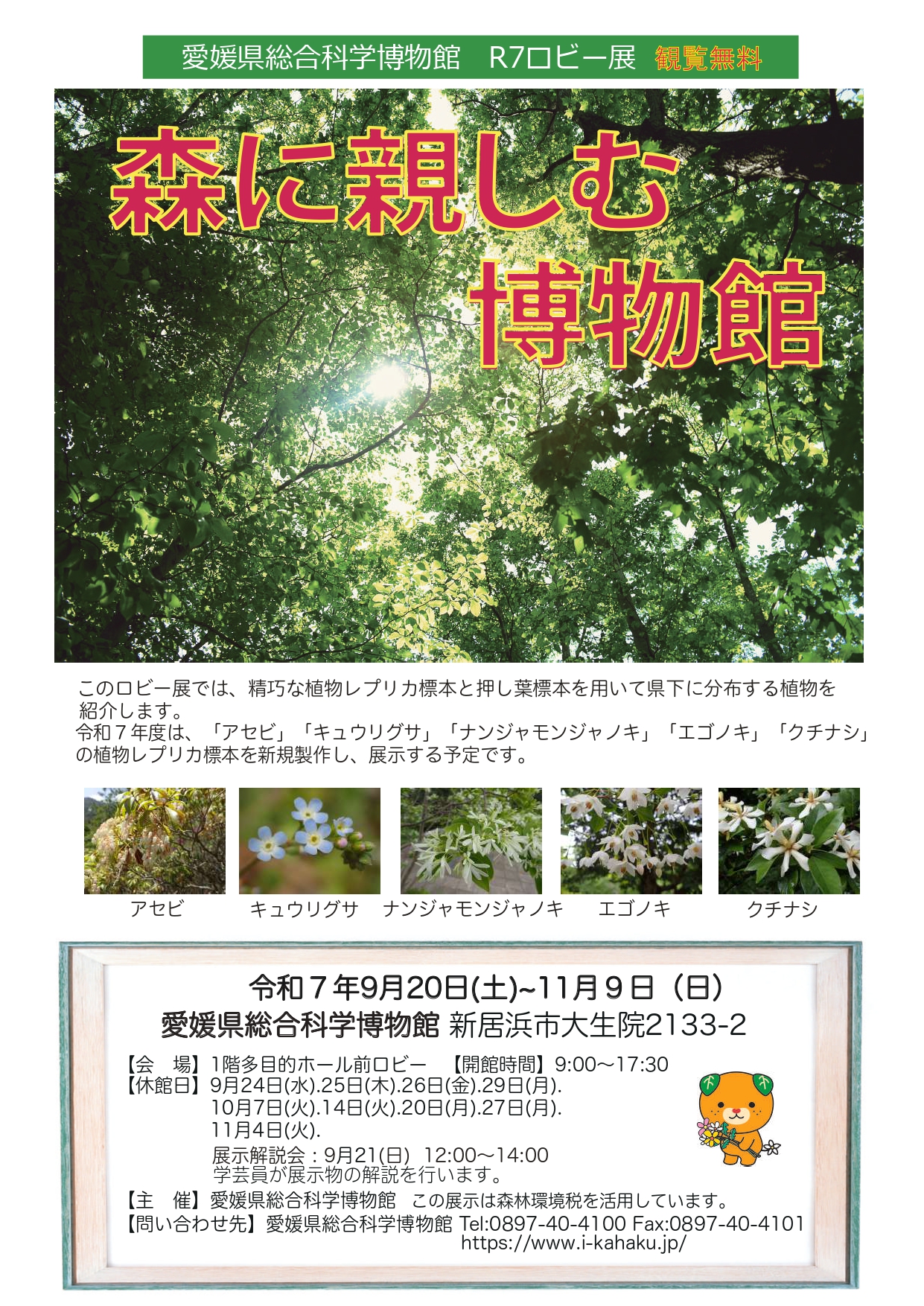 ロビー展「森に親しむ博物館」