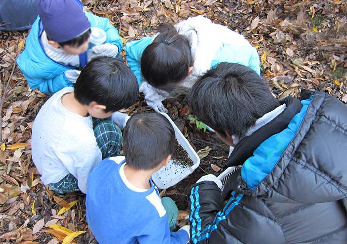 昆虫教室「昆虫のからだ」