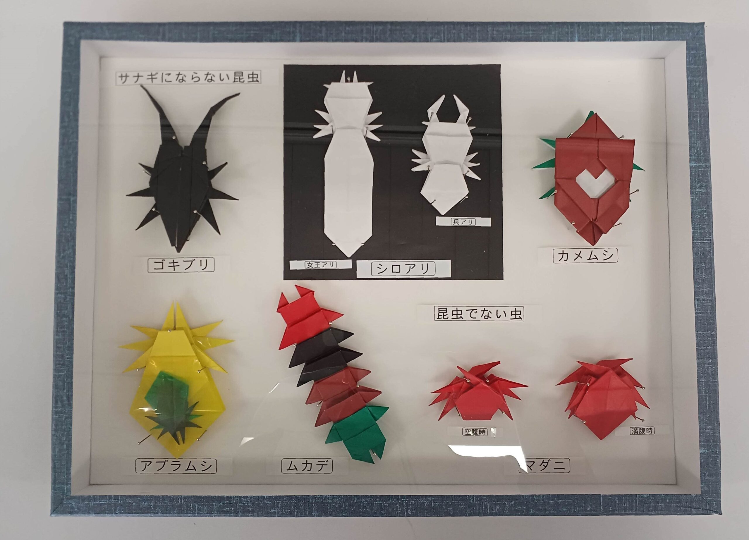 パネル巡回展「家の中のおじゃま虫」