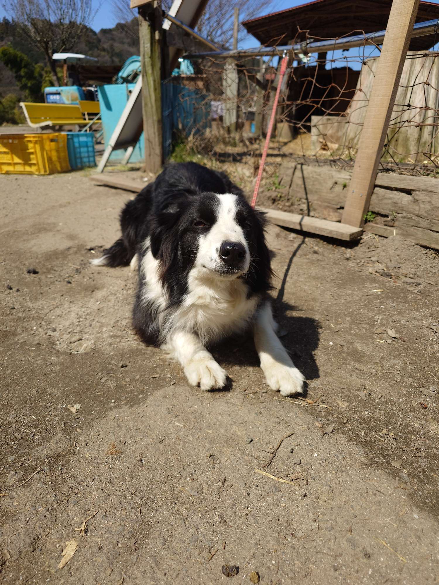 やまちびファーム