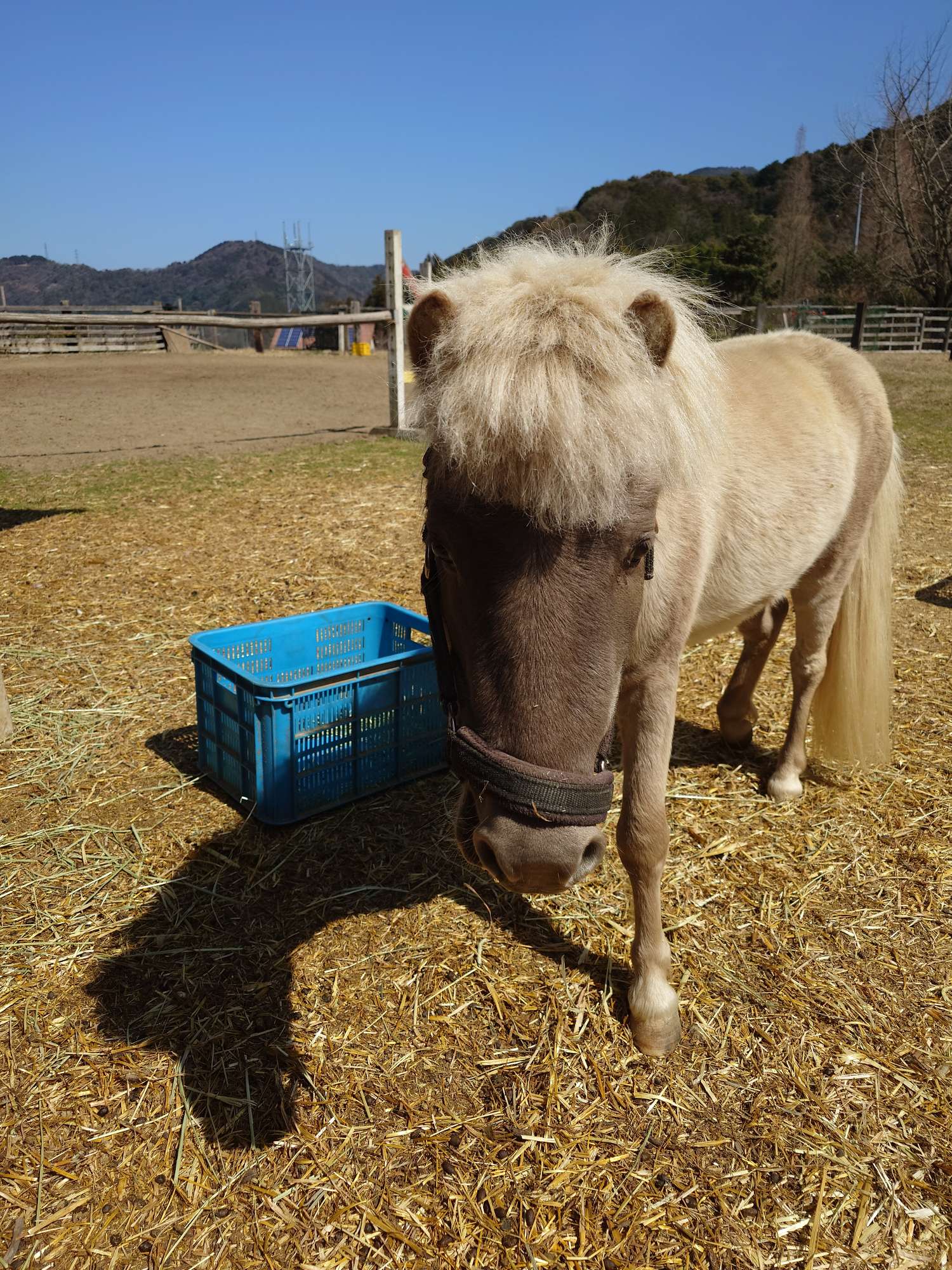 やまちびファーム